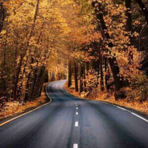 دانلود آهنگ انقدر زار زدم سرمو به دیوار زدم – با صدای دختر